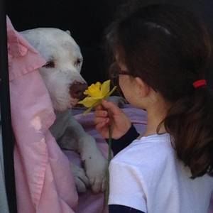 Meet your Posher, Kevin